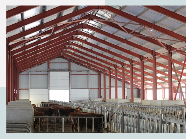 Строительство коровников в Владимире