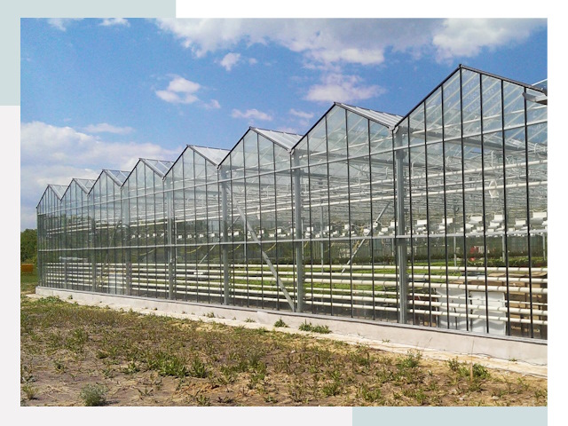 Строительство теплиц в Владимир от 623 руб. за м²