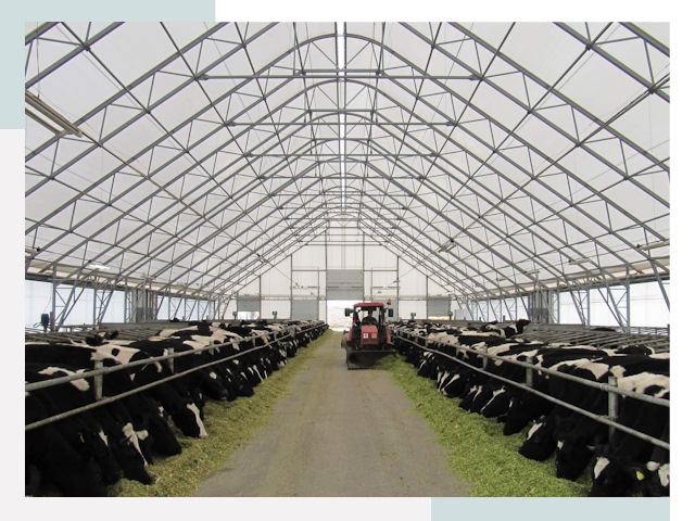 Тентовые коровники в Владимире от 623 руб. - Надежно и доступно