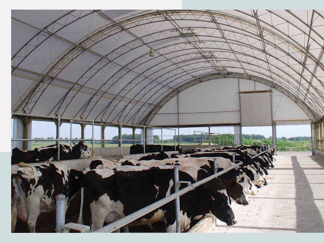 Тентовые коровники в Владимире